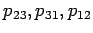 $p_{23}, p_{31},p_{12}$